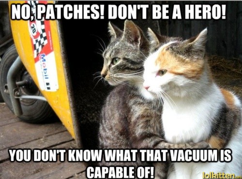 NO, PATCHES! DON'T BE A HERO! YOU DON'T KNOW WHAT THAT VACUUM IS CAPABLE OF!