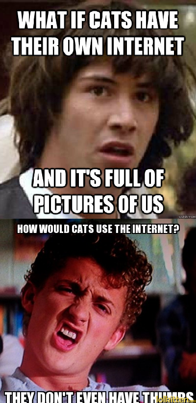 Cat Internet