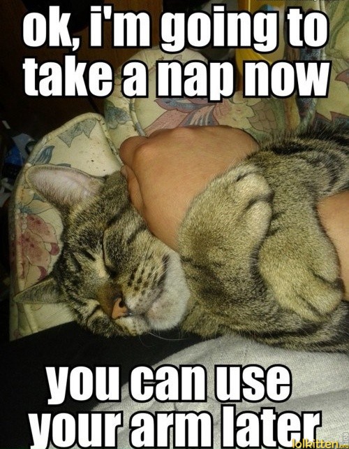 ok, i'm going to take a nap now - you can use your arm later