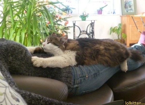 Supercat