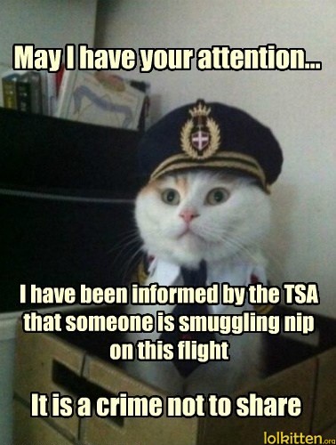 May I have your attention... I have been informed by the TSA that someone is smuggling nip on htis flight - It's a crime not to share
