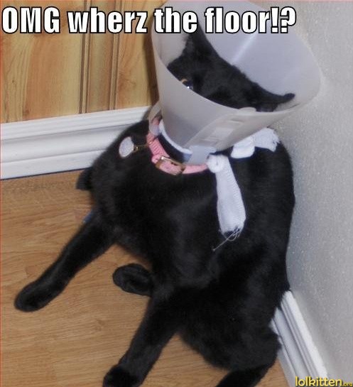 OMG wherz the floor!?