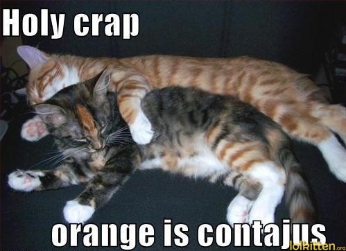 Holy crap - orange is contajus