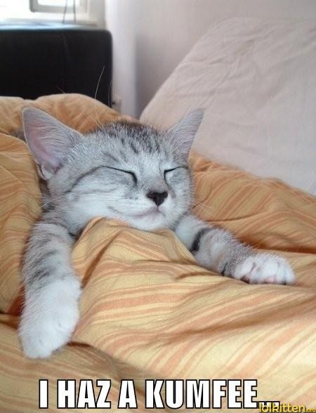I HAZ A KUMFEE...