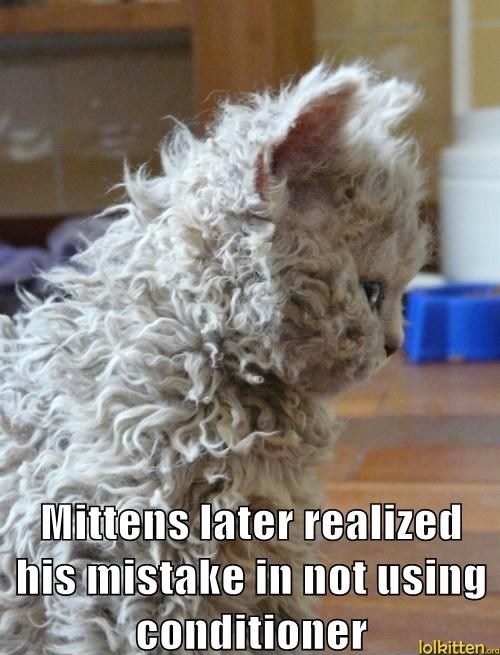 Mittens later realized his mistake in not using conditioner