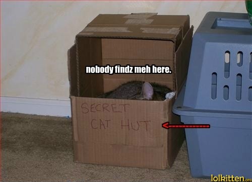 nobody findz meh here.