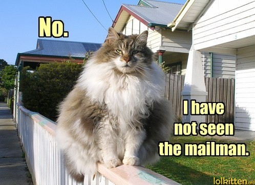 No. I have not seen the mailman.