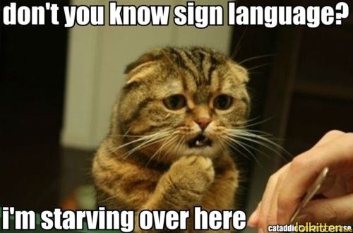 don't you know sign language? i'm starving over here