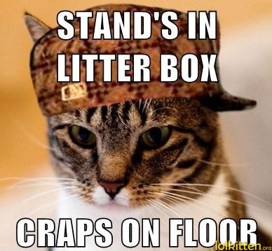 STANDS IN LITTER BOX - CRAPS ON FLOOR