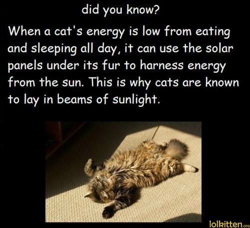 Did you know?
