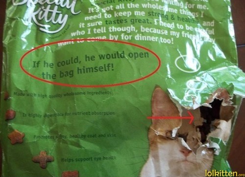 If he could, he would open the bag himself!