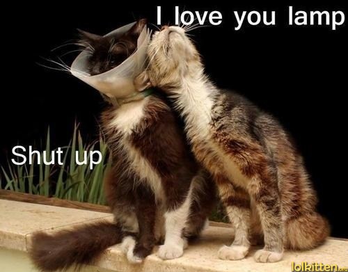 I love you lamp - Shut up