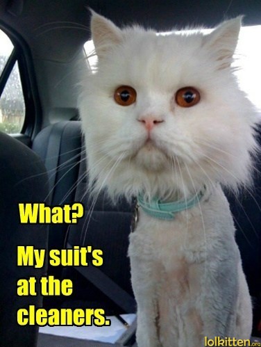 What? My suit's at the cleaners.
