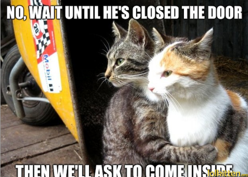 NO, WAIT UNTIL HE'S CLOSED THE DOOR - THEN WE'LL ASK TO COME INSIDE