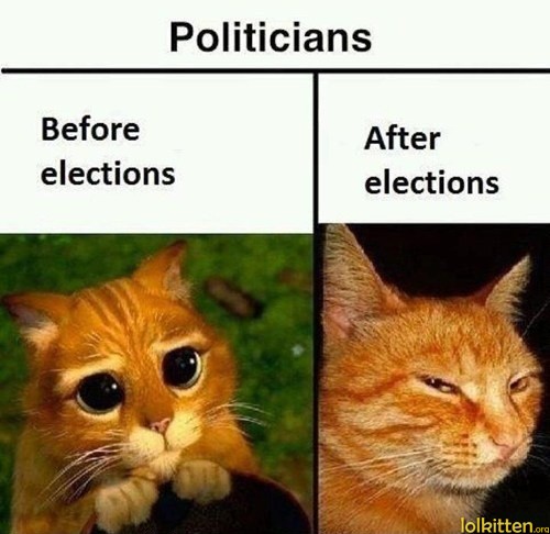 Politicians - Before elections - After elections