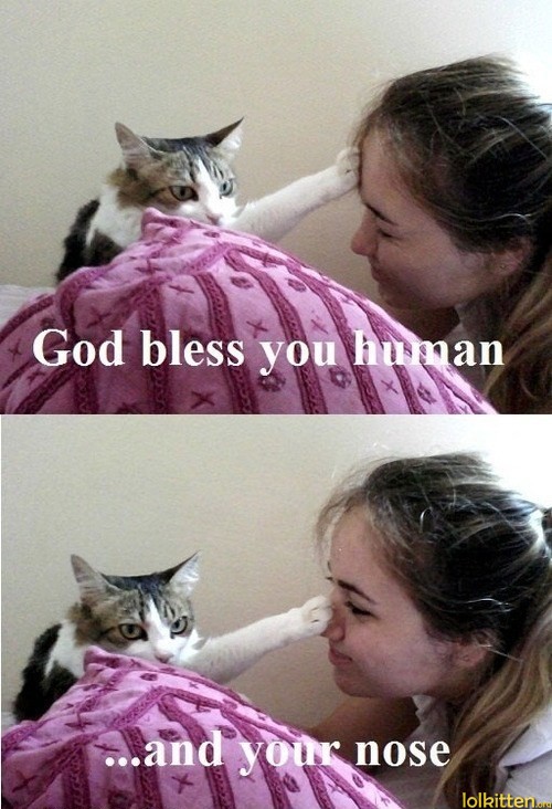God bless you human - ...and your nose