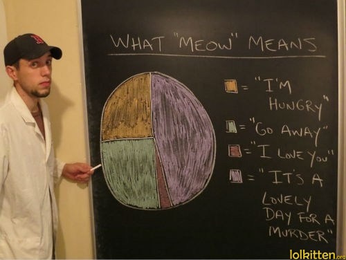 WHAT "MEOW" MEANS