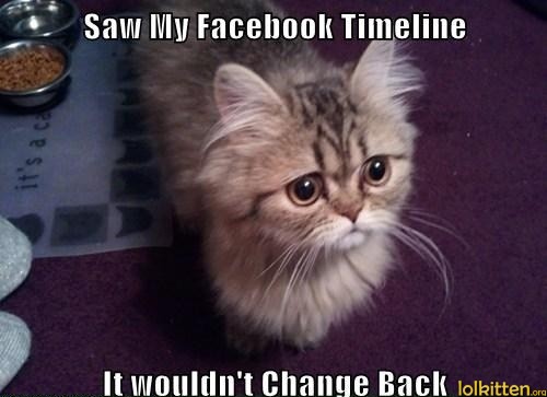 Saw My Facebook Timeline - It would'nt Change Back