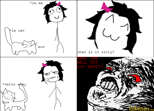 Kitty doesn't make sense