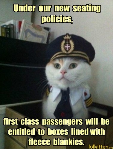 Under our new seating policies, first class passengers will be entitled to boxes lined with fleece blankies.