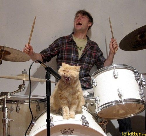 Screamo cat on drums