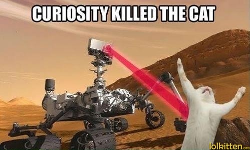 CURIOSITY KILLED THE CAT