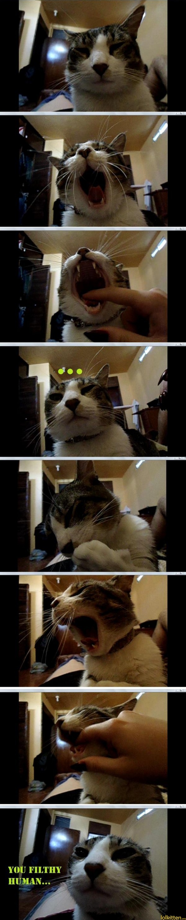 YOU FILTHY HUMAN...