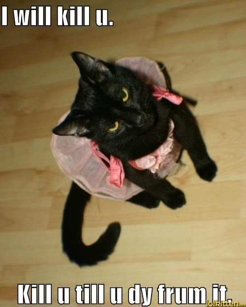 I will kill u. Kill u till u dy frum it.
