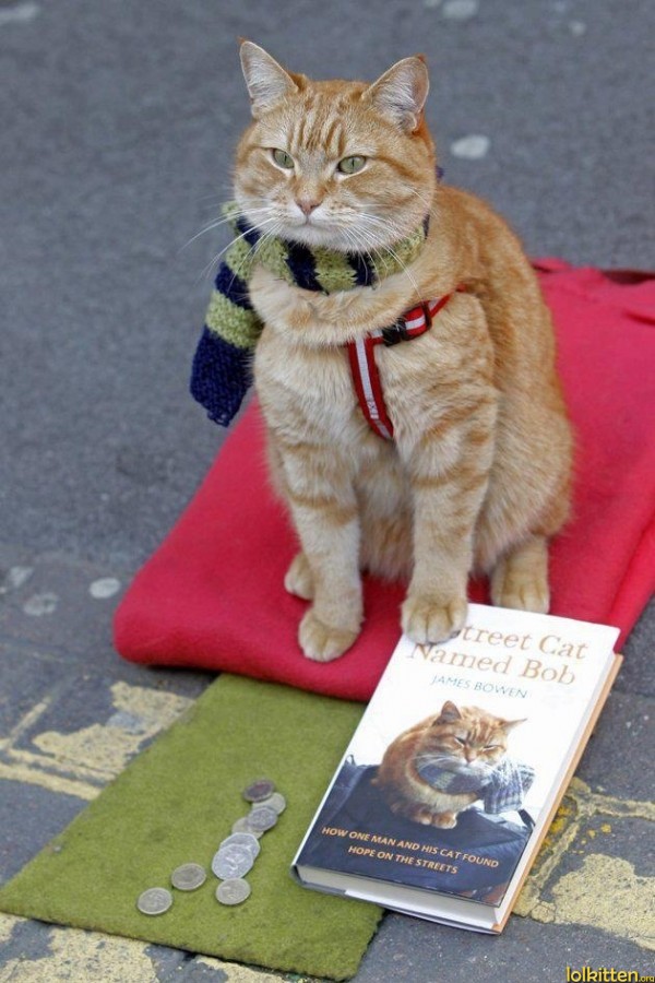 A Street Cat Named Bob