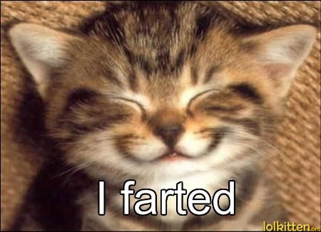 I farted