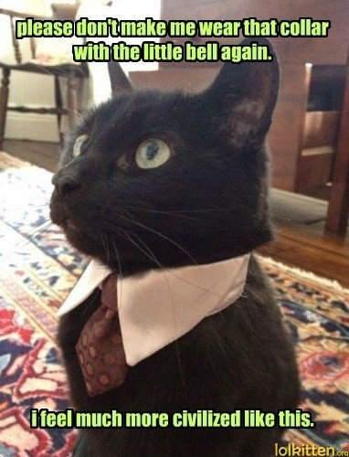 please don't make me wear that collar with the little bell again. i feel much more civilized like this.