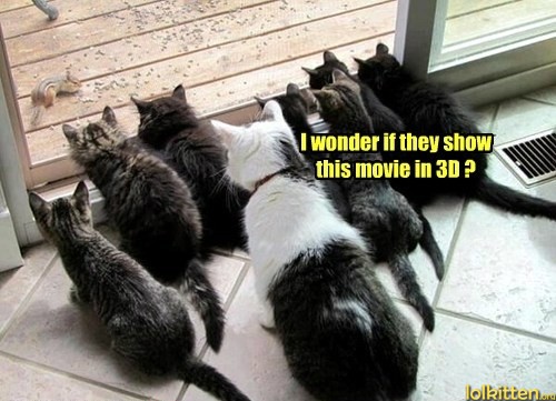 I wonder if they show this movie in 3D?
