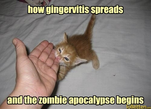 how gingervitis spreads and the zombie apocalypse begins