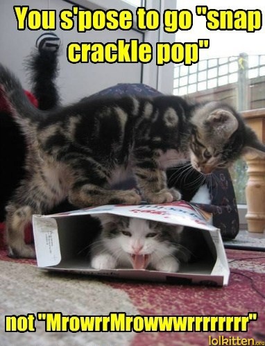 You s'pose to go "snap crackle pop" - not "MrowrrMrowwwrrrrrrr"