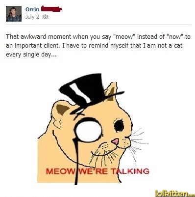 Meow vs Now