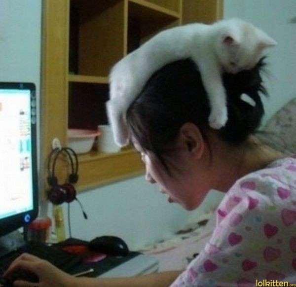 Cat sleeping on girl's head