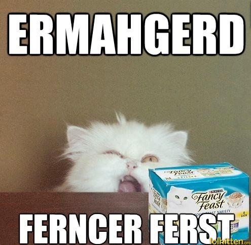 ERMAHGERD - FERNCER FERST