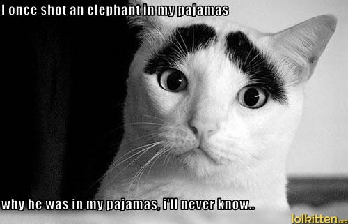 I once shot an elephant in my pajamas -  why he was in my pajamas, i'll never know..