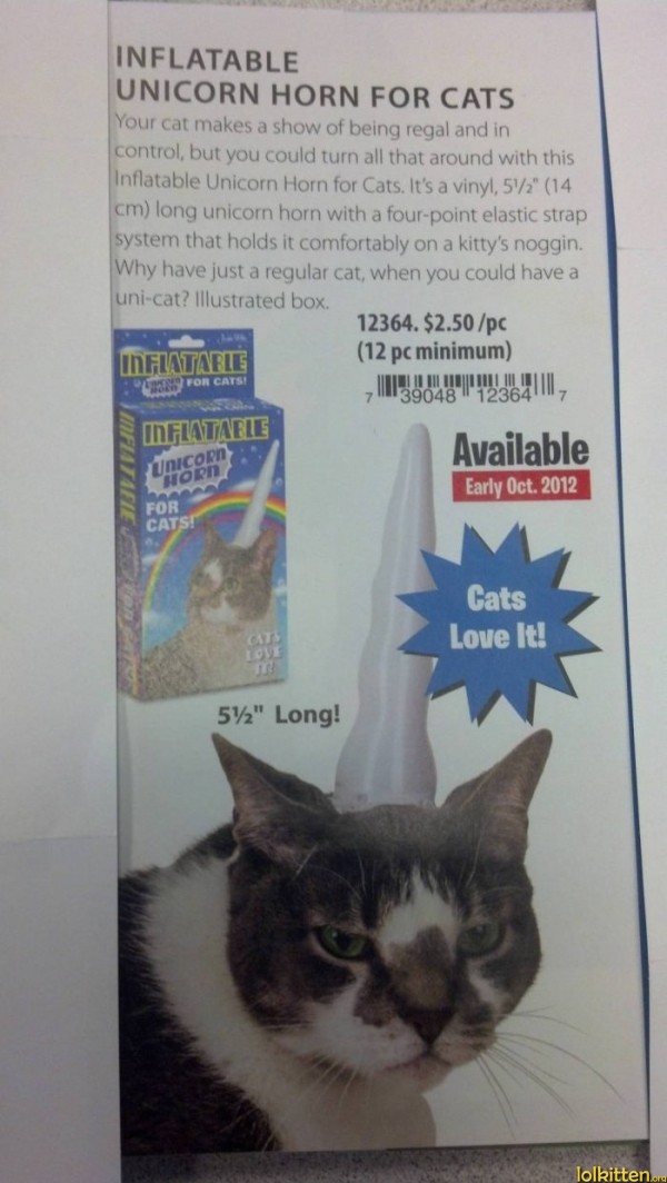 Inflatable Unicorn Horn for Cat