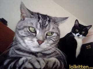 Mom in video chat image