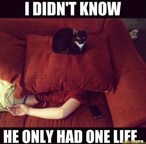 I DIDN'T KNOW HE ONLY HAD ONE LIFE...