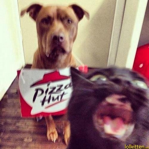 Photobomb - Pizza Hut