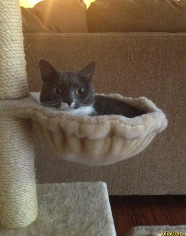 Perfect Fit