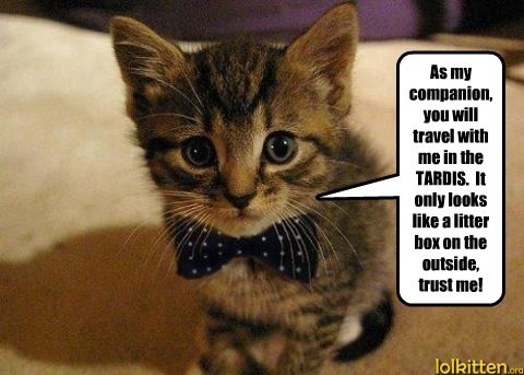 Travel in the tardis