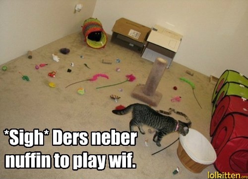 *Sigh* Ders neber nuffin to play wif