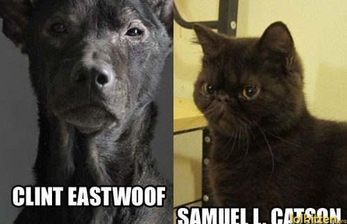 CLINT EASTWOOF - SAMUEL L. CATSON