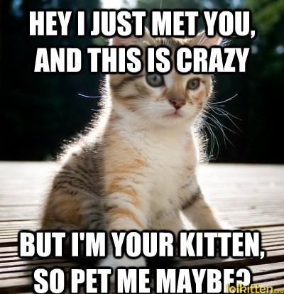 HEY I JUST MET YOU, AND THIS IS CRAZY - BUT I'M YOUR KITTEN, SO PET ME MAYBE?