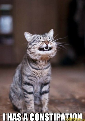 I HAS A CONSTIPATION