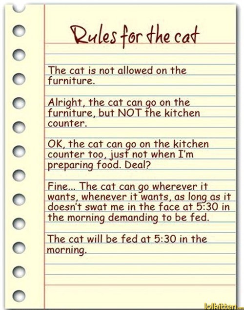 Rules for the Cat