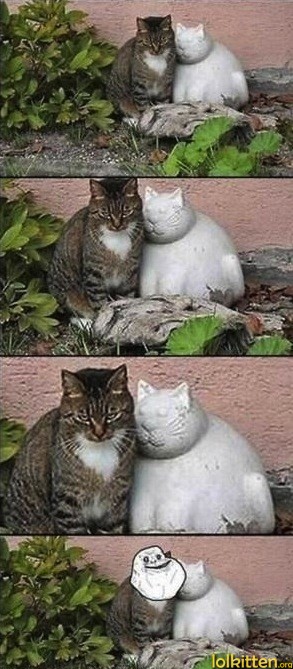 Forever Alone Cat